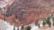 PICTURES/Cedar Breaks National Monument - Utah/t_North View Overlook6.JPG